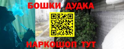 крисы Обь