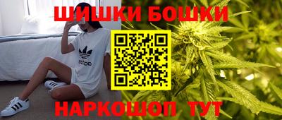 крисы Обь